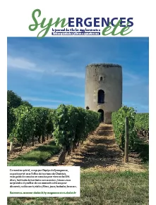 Synergences été - Edition spéciale - du 6 juillet au 6 septembre 2026